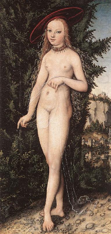 Venus Standing in a Landscape  fdg, CRANACH, Lucas the Elder
